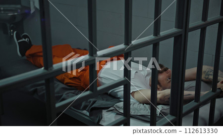 Prisoner serves imprisonment term for crime 112613330