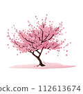 盛開的櫻花樹 112613674