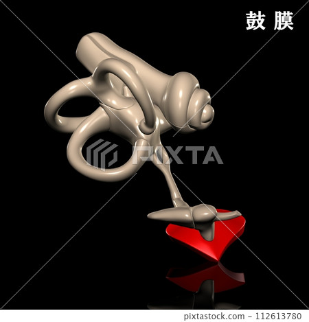 human eardrum 112613780