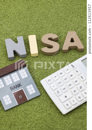 NISA 字母塊放置在綠色地毯上 NISA 字母塊放置在綠色地毯上 112613957