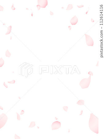 Cherry blossom petals background illustration 112614116