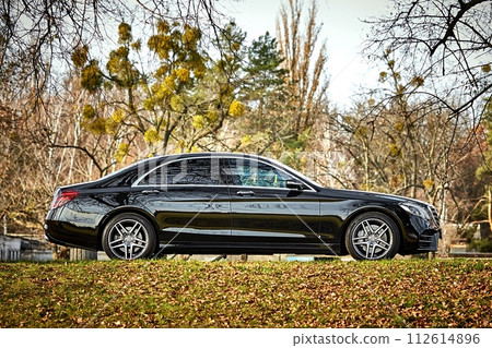 Modern car driving through the woods background, luxury city car wallpaper Modern car driving through the woods background, luxury city car wallpaper 112614896