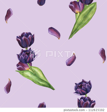 Seamless Pattern with Purple realistic Tulips Flowers and green leaves. Hand-drawn Watercolor Illustration with Dark Bouquet of Violet Flowers. Clip Art flowers for your designs, wallpapers, clothing Seamless Pattern with Purple realistic Tulips Flowers and green leaves. Hand-drawn Watercolor Illustration with Dark Bouquet of Violet Flowers. Clip Art flowers for your designs, wallpapers, clothing 112615102