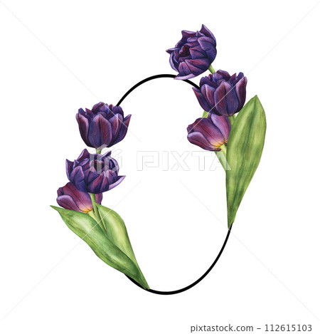Oval Frame with Violet Tulips. Spring Bouquet of Purple Flowers Watercolor Illustration. Floral Clip Art for invitation, greeting card and design Oval Frame with Violet Tulips. Spring Bouquet of Purple Flowers Watercolor Illustration. Floral Clip Art for invitation, greeting card and design 112615103