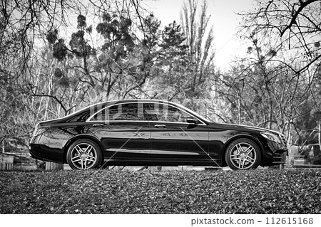 Modern car driving through the woods background,  luxury city car wallpaper 112615168