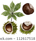 Leaf and ripe chestnut fruit. Watercolor illustration. High quality illustration 112617518