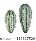 Set of green-blue cacti. Cute home plants with thorns. High quality watercolor illustration 112617520