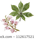Leaves and inflorescences of chestnut. Watercolor illustration. High quality illustration 112617521