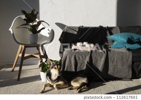 child living room child living room 112617601