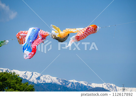 [初夏材料]鯉魚旗在天空中游泳[長野] 112617892