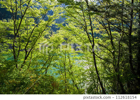 水壩湖畔綠意盎然,生氣勃勃 水壩湖畔綠意盎然,生氣勃勃 112618154