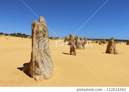 The Pinnacles of Nambung National Park created by nature 112618362