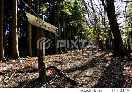 丹澤的邊室山，邊室山橫貫路線的直達山路 112618449