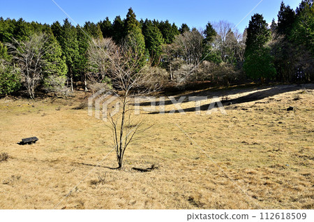 丹澤的粟殼山 - 粟殼庇護所廣闊廣場 丹澤的粟殼山 - 粟殼庇護所廣闊廣場 112618509