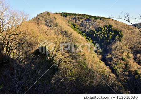 從丹澤大山眺望沐浴著朝陽的根室山 112618530