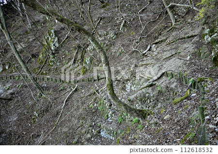 穿過崩塌斜坡的危險山路-丹澤的大山、三峰山 穿過崩塌斜坡的危險山路-丹澤的大山、三峰山 112618532