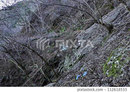穿過崩塌斜坡的危險山路-丹澤的大山、三峰山 穿過崩塌斜坡的危險山路-丹澤的大山、三峰山 112618533