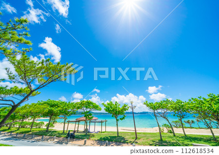 The sea of Okinawa The sea of Okinawa 112618534