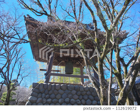 伊豆修善寺一月 伊豆修善寺一月 112619072