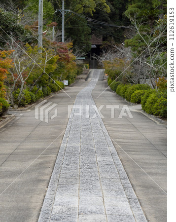 秋天的本光寺參道 112619153