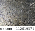 Moss-covered rock surface 112619371