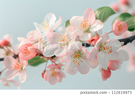 branch of a blossoming apple tree close-up, stock photo, in the style of light pink and dark indigo, minimalistic sketches of nature. Generative AI. 112619973