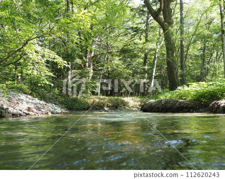 Clear river flow 112620243