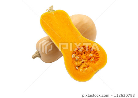 Butternut pumpkin [from Yamagata Prefecture] 112620798