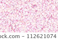 Spring pink sakura cherry blossom petals abstract background 112621074