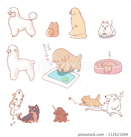 一組觸感柔軟的可愛狗狗 一組觸感柔軟的可愛狗狗 112621099