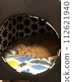 Sleeping cat 112621940