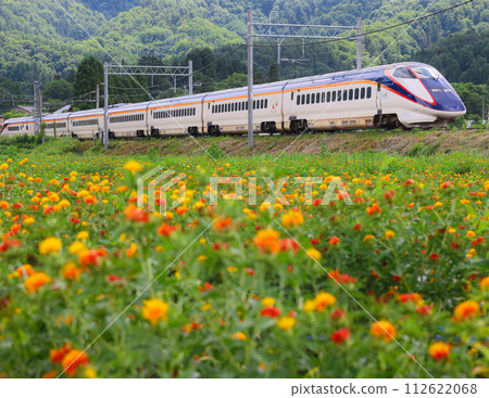 山形新幹線E3系列1000號列車穿過紅花田 山形新幹線E3系列1000號列車穿過紅花田 112622068