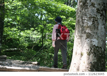 登山 登山 112623045