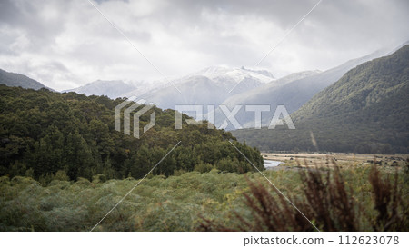 Alpine valley with dense forest and big snowy mountains in backdrop, New Zealand Alpine valley with dense forest and big snowy mountains in backdrop, New Zealand 112623078