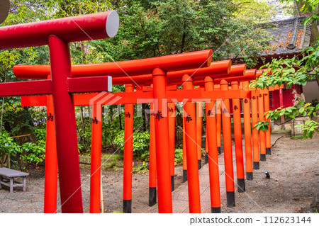 （靜岡縣）來宮神社/稻荷神社鳥居 112623144