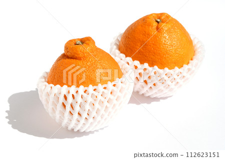 看起來像 Dekopon (Hinotoyo) 的柑橘類水果 112623151