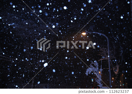 Snow falling night 112623237