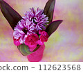 purple gerbera 3 112623568
