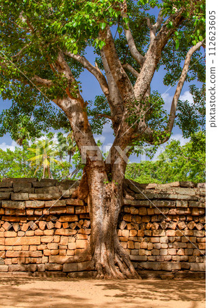 Anuradhapura Anuradhapura 112623605