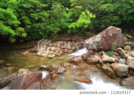 Noro River in early summer where the greenery is bright and beautiful 112624317