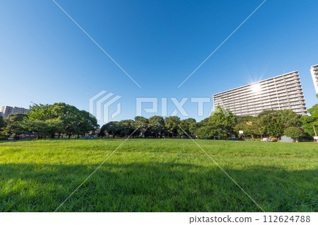 Apartment seen from a park full of greenery Apartment seen from a park full of greenery 112624788