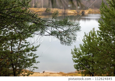 Photo of an autumn landscape. Shore, pond, trees Photo of an autumn landscape. Shore, pond, trees 112624845
