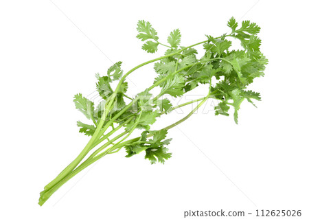 coriander leaves isolated on white background 112625026