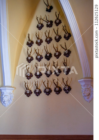 特拉科尚 112625129