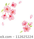 Watercolor illustration of cherry blossoms 112625224