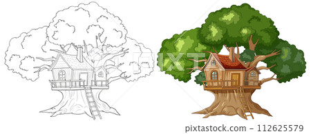 Enchanted Treehouse Before and After Enchanted Treehouse Before and After 112625579