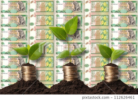 Money Growth concept, business success finance Sri Lanka 10 Rupees Sinhalese Chinthe Presidential Secretariat building in Colombo flower Money Growth concept, business success finance Sri Lanka 10 Rupees Sinhalese Chinthe Presidential Secretariat building in Colombo flower 112626461
