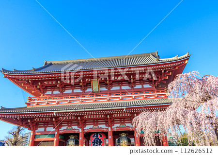 [Tokyo cityscape] Cherry blossoms at Sensoji Temple 112626512