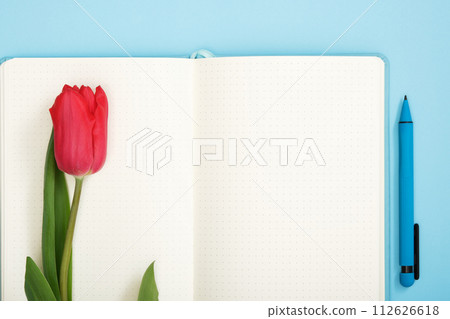 Red tulip is on blank empty of notebook. Light blue background. Space for your text. 112626618