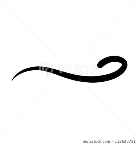 Hand drawn curly swish icon vector illustration, paint brush design element of swash, swoosh, swoosh underline swirl squiggle stroke illustration 112626781